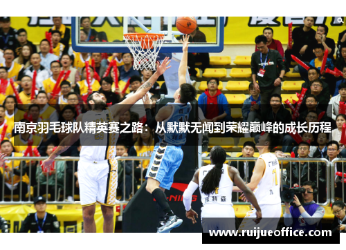 南京羽毛球队精英赛之路：从默默无闻到荣耀巅峰的成长历程