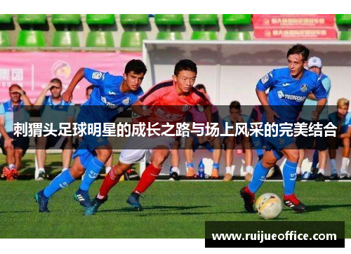 刺猬头足球明星的成长之路与场上风采的完美结合